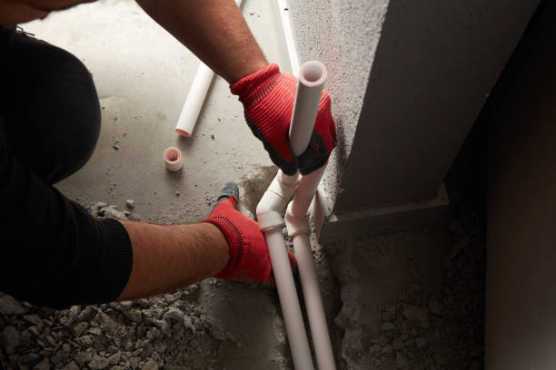 Best Clogged Drain Plumber  in Mendon, IL
